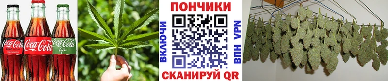 Canna-Cookies конопля Динская