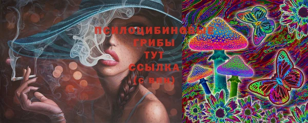 стафф Алзамай