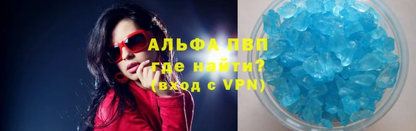 стафф Алзамай