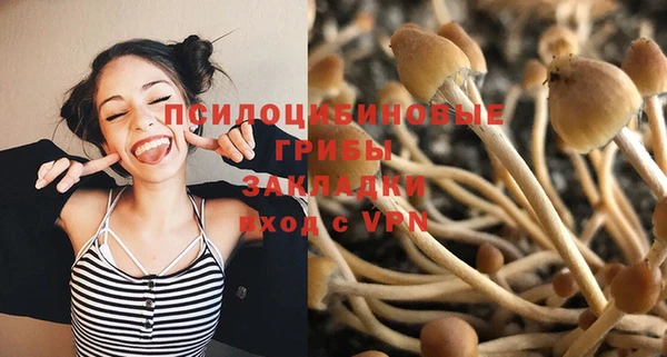 стафф Алзамай